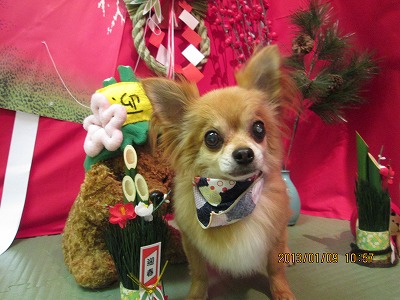 ファイル 5997-2.jpg