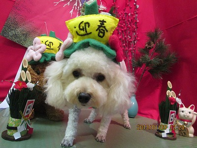 ファイル 5998-1.jpg