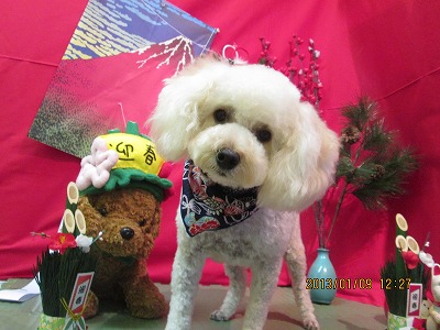 ファイル 5998-2.jpg