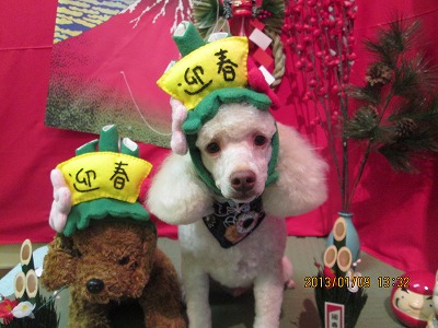 ファイル 5999-1.jpg