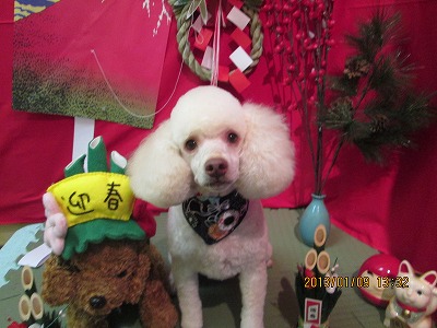 ファイル 5999-2.jpg