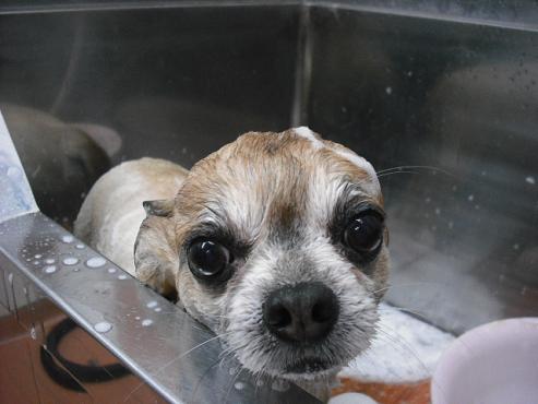 ファイル 6-2.jpg