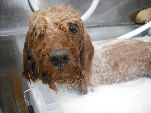 ファイル 60-2.jpg