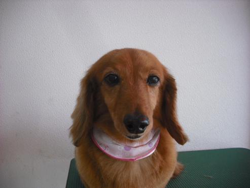 ファイル 600-2.jpg