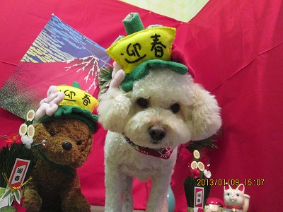 ファイル 6000-1.jpg