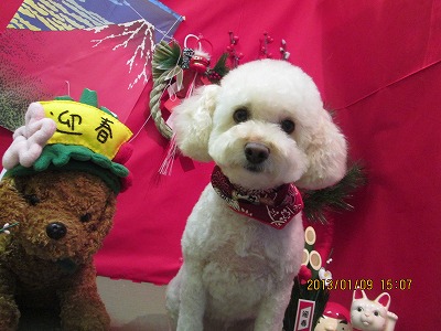 ファイル 6000-2.jpg