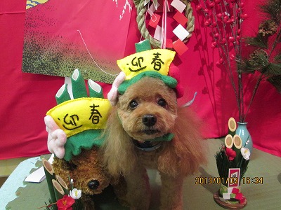 ファイル 6001-1.jpg