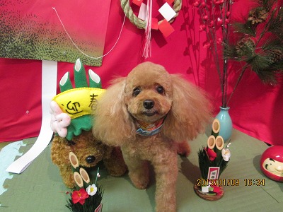 ファイル 6001-2.jpg