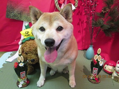 ファイル 6002-2.jpg