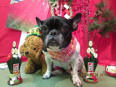 ファイル 6003-2.jpg