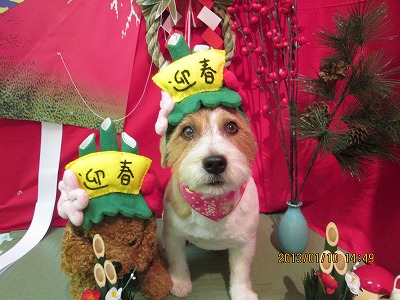 ファイル 6004-1.jpg