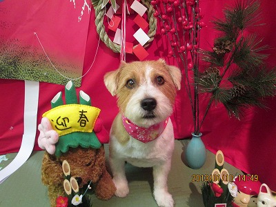 ファイル 6004-2.jpg