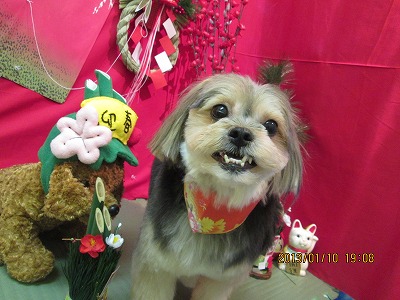 ファイル 6005-2.jpg