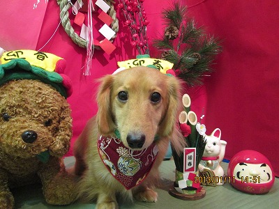 ファイル 6009-1.jpg