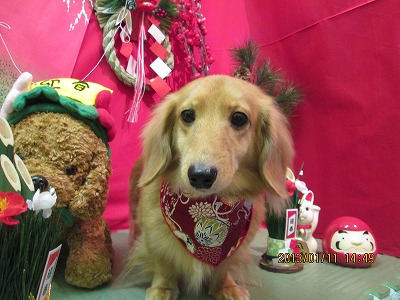 ファイル 6009-2.jpg