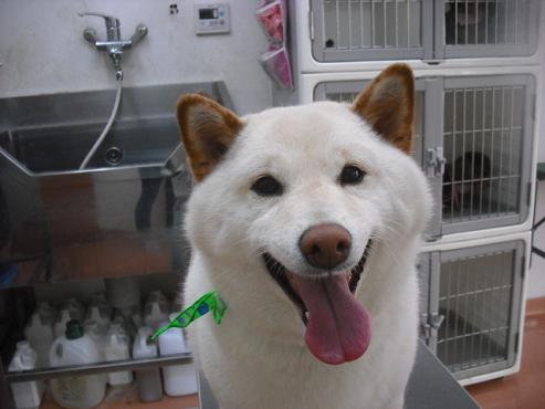 ファイル 601-1.jpg