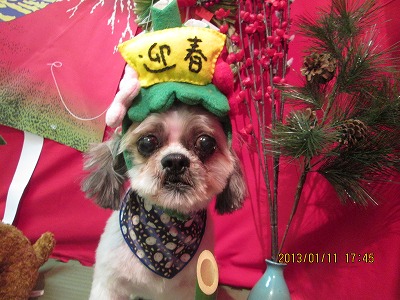 ファイル 6010-1.jpg