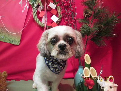 ファイル 6010-2.jpg