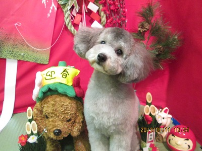 ファイル 6011-2.jpg