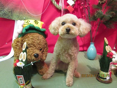 ファイル 6012-2.jpg