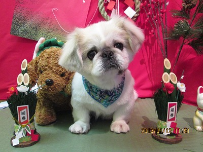 ファイル 6013-2.jpg