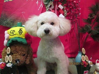 ファイル 6014-1.jpg