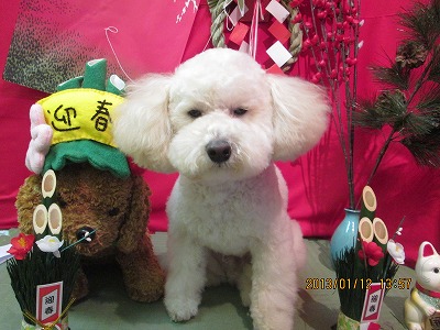 ファイル 6014-2.jpg