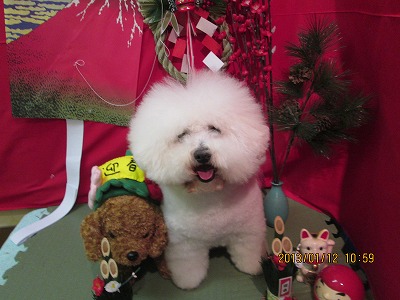 ファイル 6015-1.jpg