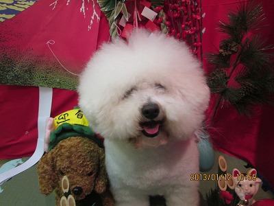 ファイル 6015-2.jpg