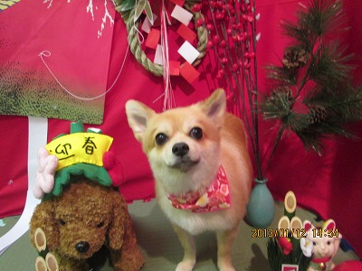 ファイル 6016-2.jpg