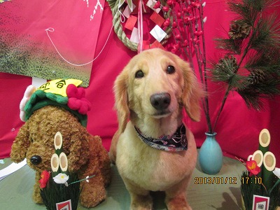 ファイル 6017-2.jpg