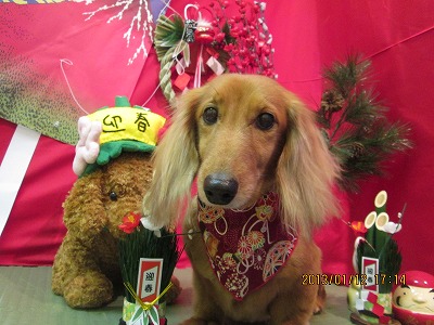 ファイル 6018-2.jpg