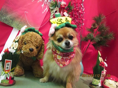 ファイル 6019-1.jpg