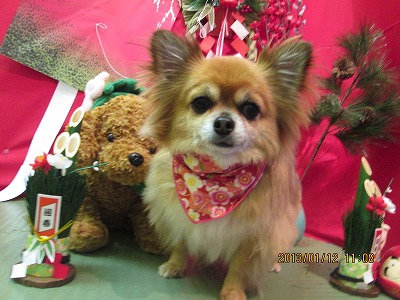 ファイル 6019-2.jpg