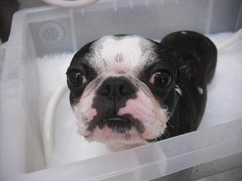 ファイル 602-3.jpg