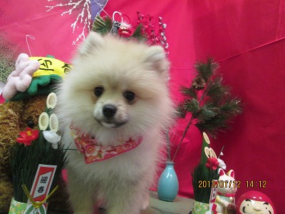 ファイル 6020-2.jpg