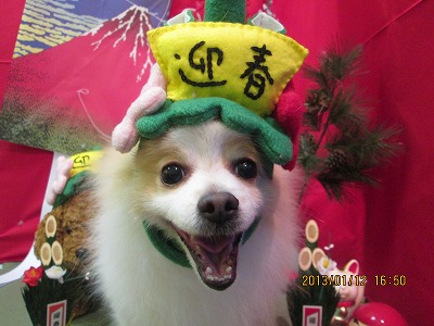 ファイル 6021-1.jpg