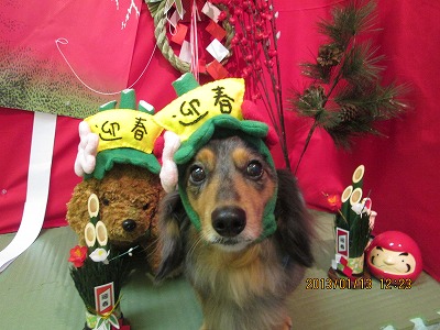 ファイル 6022-1.jpg