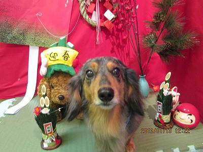 ファイル 6022-2.jpg