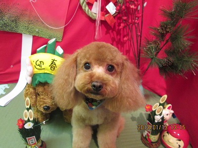 ファイル 6023-1.jpg