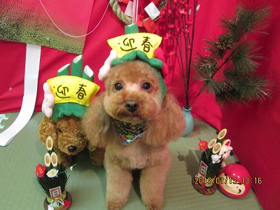 ファイル 6023-2.jpg