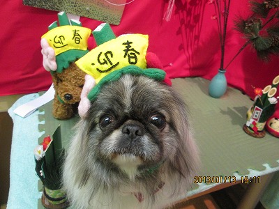 ファイル 6024-1.jpg