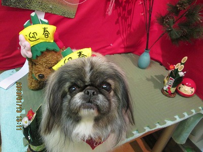 ファイル 6024-2.jpg