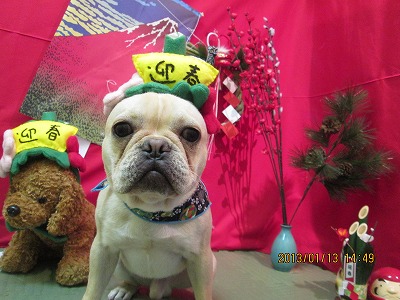 ファイル 6025-1.jpg