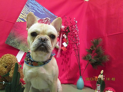 ファイル 6025-2.jpg