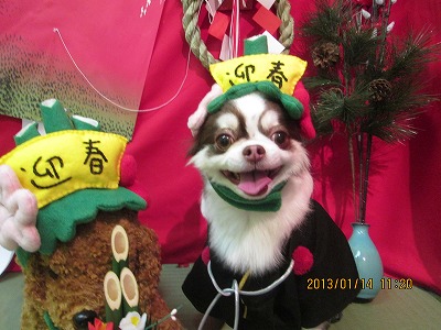 ファイル 6026-1.jpg