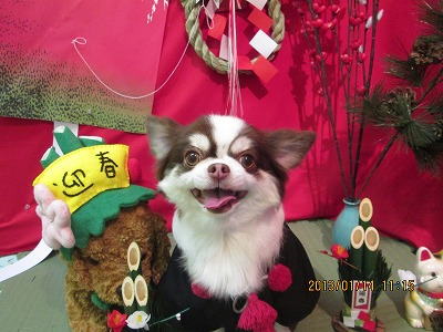 ファイル 6026-2.jpg