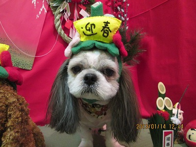 ファイル 6027-1.jpg