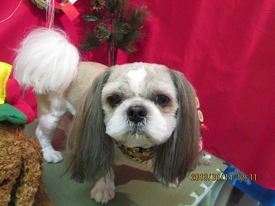 ファイル 6027-2.jpg