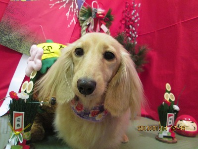 ファイル 6028-1.jpg